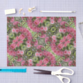 Gumnutのピンクのユーカリによってはオーストラリアの先住民が開花します 薄葉紙 (クラフト)