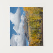 Gunnison National Forest, Colorado タペストリー (正面)