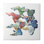 Guppies タイル (正面)