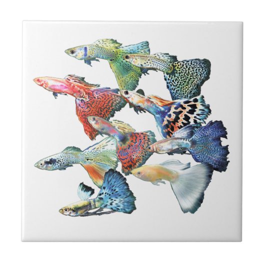 Guppies タイル (正面)