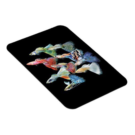 Guppies マグネット (右側)