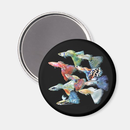 Guppies マグネット (正面/裏面)