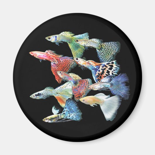 Guppies マグネット (正面)