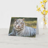 Gus – カード – カスタマイズ可能な挨拶 (黄色い花)