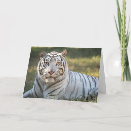 Gus – カード – カスタマイズ可能な挨拶