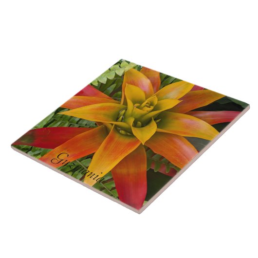 Guzmania Bromeliad Plant Floral タイル (側面)