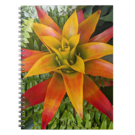 Guzmania Bromeliad Plant Floral ノートブック