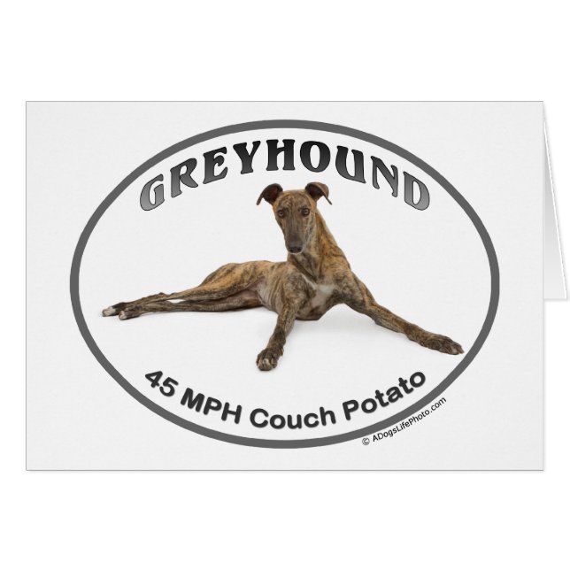 GVV 40MPHのカウチ・ポテト族 (正面横)