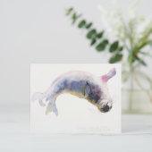 Gweek 2003の若いグレーシール ポストカード (スタンド正面)