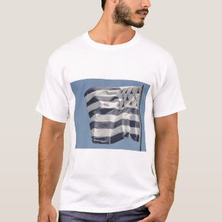 Gwen Ha Du, drapeau breton Tシャツ