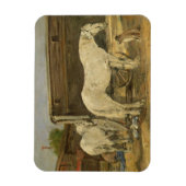 Gypsy Horses, c.1885-90 (キャンバス上の油) マグネット (縦)
