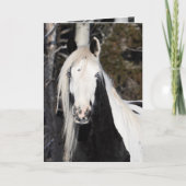 Gypsy Looks Out - Greeting Card カード (正面)