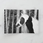 Gypsy Looks Out - Greeting Card カード (内部)