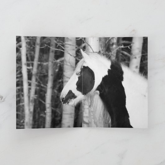 Gypsy Looks Out - Greeting Card カード (内部)