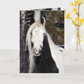 Gypsy Looks Out - Greeting Card カード (黄色い花)