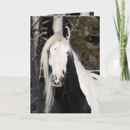 Gypsy Looks Out - Greeting Card カード