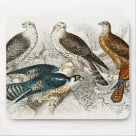 Gyr《鳥》ハヤブサ、Goshawk、KiteまたはGlead、Peregrine マウスパッド