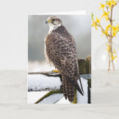Gyrfalcon カード (黄色い花)