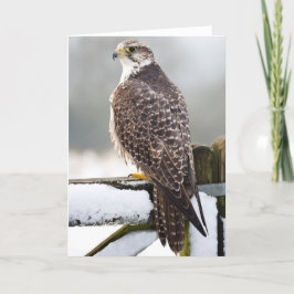 Gyrfalcon カード