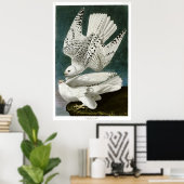 Gyrfalcon by John Audubon ポスター (ホームオフィス)