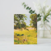 Gysinge夏場 ポストカード (スタンド正面)