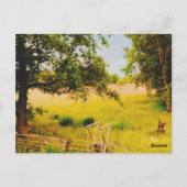 Gysinge夏場 ポストカード (裏面)