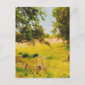 Gysinge夏場 ポストカード (正面)