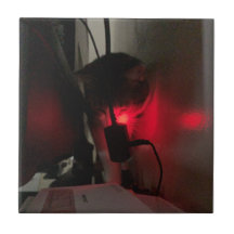 GZとLTS – ターボパワーモード