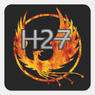 H27シール スクエアシール