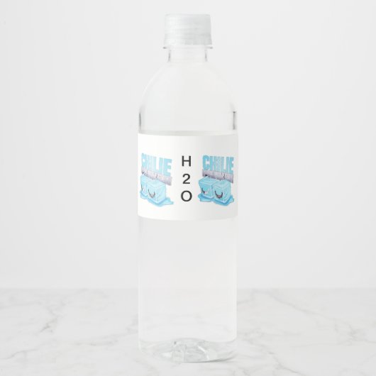 H2O ペットボトルラベル (正面)