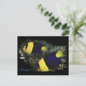 H2Oasisの二色の天使 ポストカード (スタンド正面)