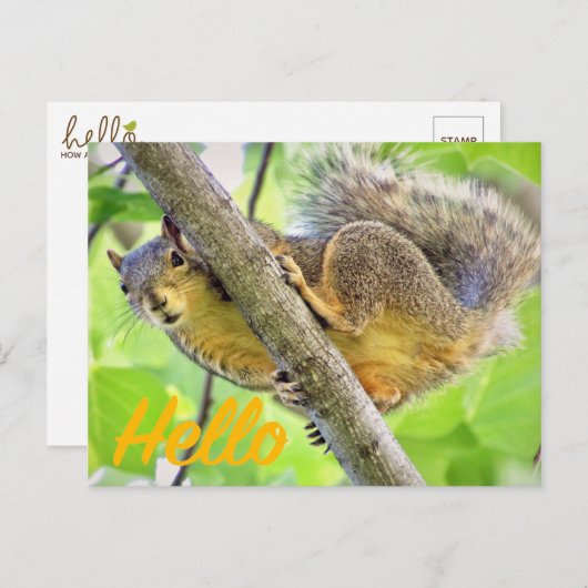 H.はがきをチェックインするだけ ポストカード (正面/裏面)