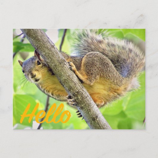 H.はがきをチェックインするだけ ポストカード (正面)