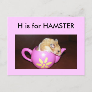 「H」はハムスターのアルファベットフラッシュカード用 ポストカード