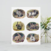 H.マグワイアによるヴィンテージバンニーのコレクション (スタンド正面)