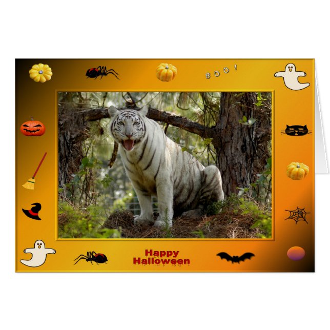 h-218-zabu (正面横)