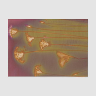 H.A.S. 芸術のティッシュペーパー、Loughのイメージの詳細 薄葉紙