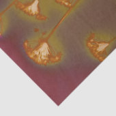 H.A.S. 芸術のティッシュペーパー、Loughのイメージの詳細 薄葉紙 (詳細)