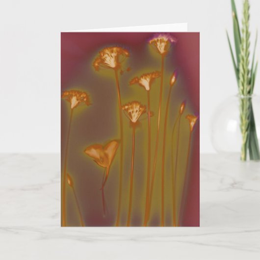 H.A.S. 芸術の挨拶状、イメージのLoughの詳細 カード (正面)