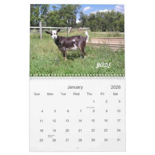 H.H. 庭のヤギ2010のカレンダー カレンダー (1月 2026)