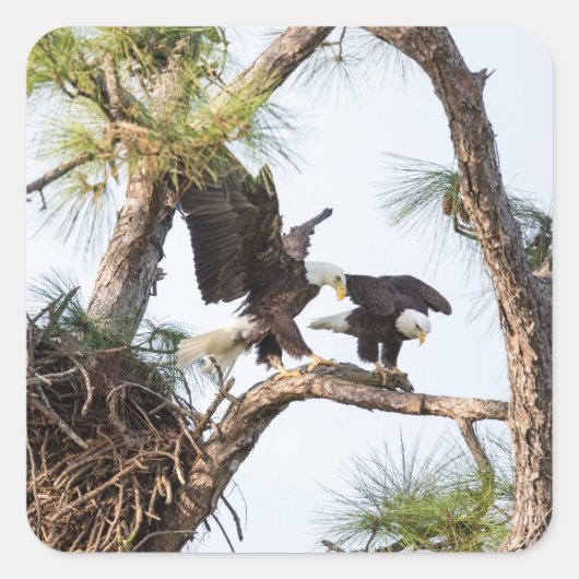 H & Mスタンプ スクエアシール (正面)