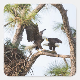 H & Mスタンプ スクエアシール