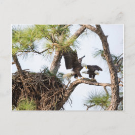 H&Mポストカード ポストカード