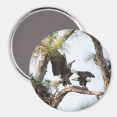 H&Mマグネット マグネット (正面/裏面)