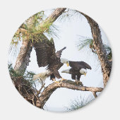 H&Mマグネット マグネット (正面)