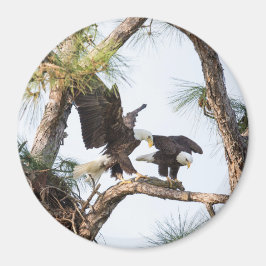 H&Mマグネット マグネット