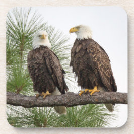 H&Oのコースターセット コースター