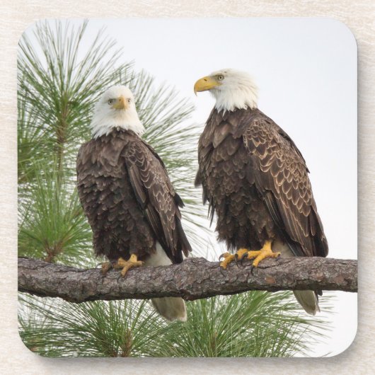 H&Oのコースターセット コースター (正面)