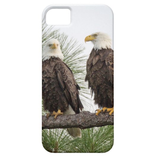 H&Oのタブレットまたは電話箱(すべてのタイプ) Case-Mate iPhoneケース (裏面)