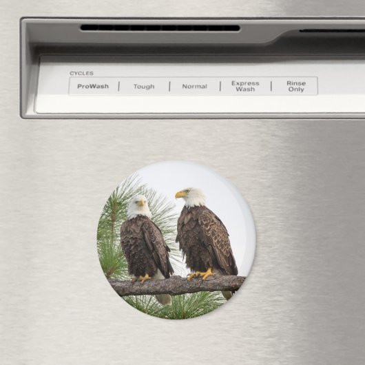 H&Oサークルマグネット（各種サイズ利用可能） マグネット (インサイチュ (食洗機))